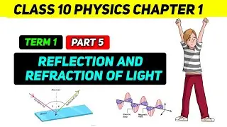 Reflection and refraction of light | Class 10th | Term 1 | Elemental Science | Part 5
