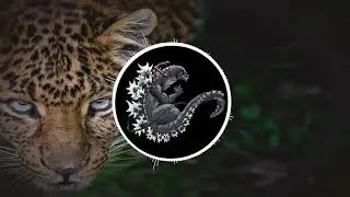 Tom Crusher - Full Attack (SEAL EXCLUSIVE)