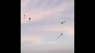 Sirasa TV Kite Festival 2023 in Matara #Shorts