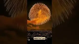 Probably the most Expensive Firework #shorts