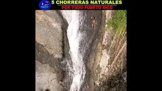 las 5 CHORRERAS NATURALES en PUERTO RICO