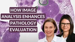 Image Analysis Enhances Pathology Evaluation of Preclinical Studies, not Replaces it.