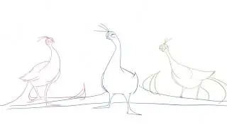 Animaci&oacute;
