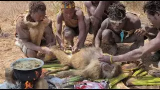 Authentic Tribal Meals 🌿🍲 | Hadzabe Cooking & Eating#food#eating #wildlife