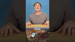 Три лучших диджейских контроллера начального уровня 2023 года: Pioneer DJ и Hercules DJ.