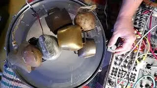 6 Improvisations with MIKROPHONIE v3 from Music Thing Modular