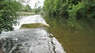 River Exe - Washfield Weir 2