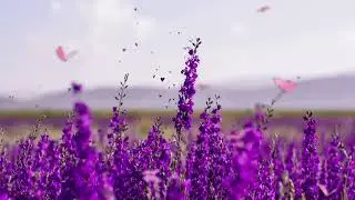 4 Minutes of Lavender Calm 💜  Relaxing Violet Aesthetic