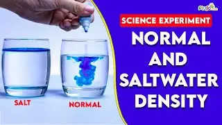 Normal and Saltwater density - Science Experiment