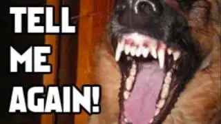 Funny Random Pictures 3