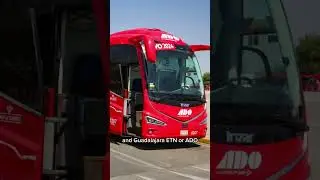 Move cheap in Mexico