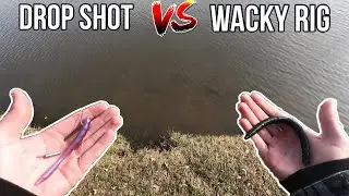 Drop Shot vs. Wacky Rig! - FINESSE Fishing SHOWDOWN!