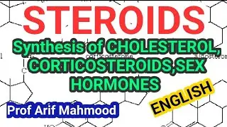 STEROIDS | SYNTHESIS OF STEROIDS (ENGLISH) SYNTHESIS OF CHOLESTEROL,SEX HORMONES & CORTICOSTEROIDS