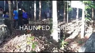 Haunted Forest Behind - The - Scene