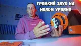 Обзор эстрадной акустики DL Audio Barracuda 165 V.2