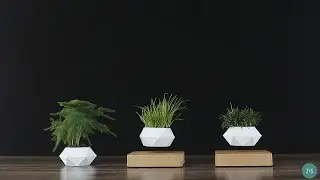 Zen Spin Pot