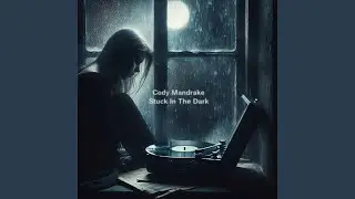 Stuck In The Dark