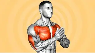 5 Exercises To Increase Grip Strength and Flexibility of Wrists