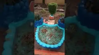 Gardening Ideas #Shorts