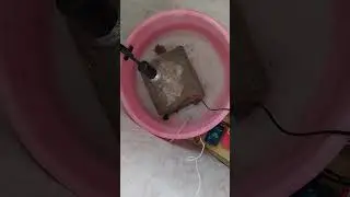 Winter Set Up For My Turtle!