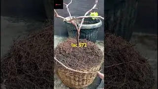 Apakah RS ini rekomended ???