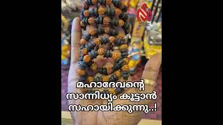 New arrival's #new #newpost #newreal #newreal #reach #lordmurugan #positiveenergy #palani #karinkali