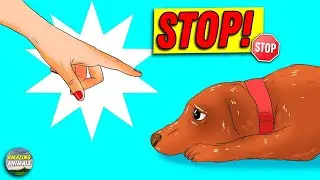 12 Ways You Are Hurting Your Dog Without Realizing