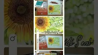 February 2025 Sunflower on Grafix Matte Dura-Lar
