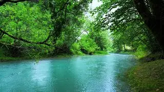 Flute & Rain | Native American Healing Music for Subconscious Cleansing, Sleep & Inner Peace