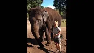 Why I love Auckland Zoo - Elephant keeper Jade