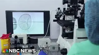 Women seeking jobs with fertility benefits