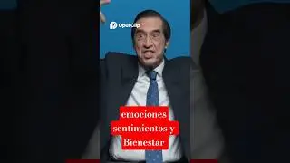Sentimientos, emociones y bienestar personal - Mario  Alonso Puig