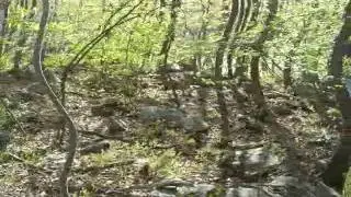 Phenomenal 92.00 Acre Lot In Hawley, Pa Is Listed At Just $1