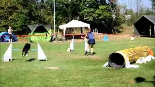 Amy on agility competition in Duplica 17.8 -18.8