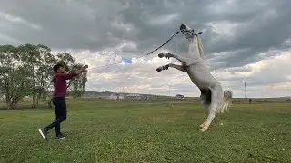 Köyde hayat var