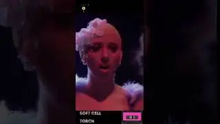 Soft Cell 