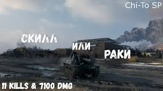 Скилл или раки | Chi-To SP | 1 vs 6 | 11 kills & 7100 dmg