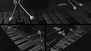 Extensions II (1988) - Roman Haubenstock-Ramati. Performed by Manuel Alcaraz Clemente