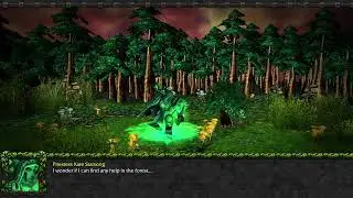 Elune's daughters - Chapter 2 - The silence of the forest