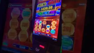 Bullrush pokies at the casino #perth #viral #polies #slots #casino