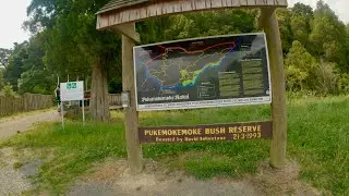 Pukemokemoke Bush Reserve