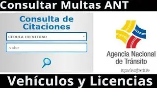 Check traffic citations and fines ANT Ecuador - License Points