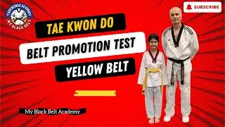 Yellow to Yellow Green Belt Test – Advanced Basics & Fitness | My Black Belt Academy