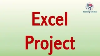 excel project