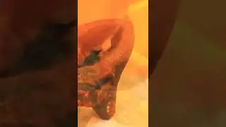 martajar los  ingredientes resulta &uacute;til