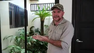 Welcome to Surcos Tours