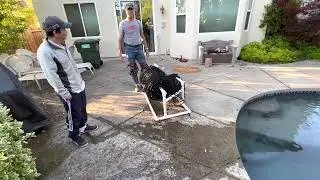 Rolling Up Swimming Pool Safety Net Cover Onto the Roller System