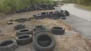 Cameras being installed to prevent tire dumping near I-10 East Michoud exit