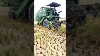 Combine SMS