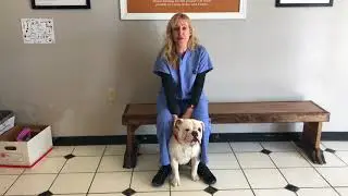 Spay Neuter Month Video 1